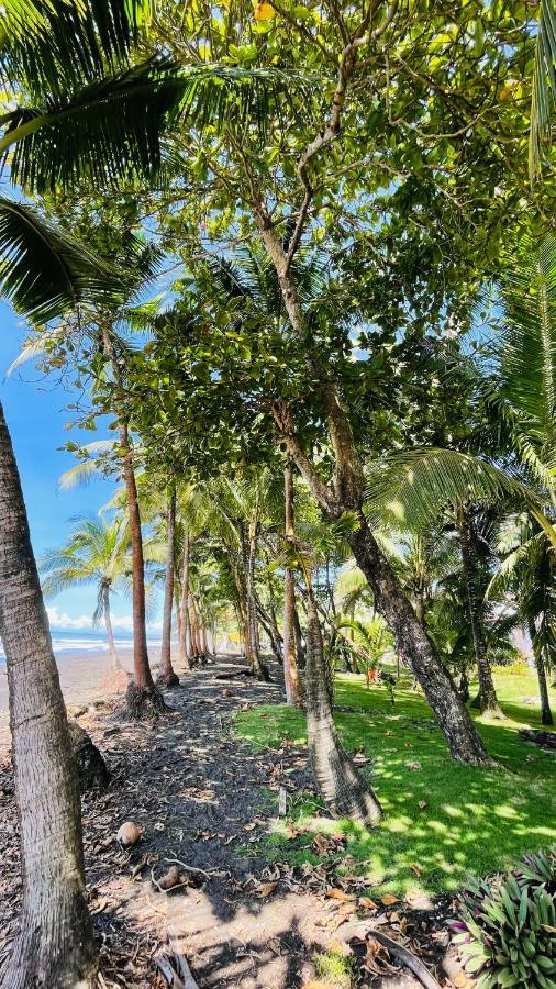 Hotel Beachfront Vista Hermosa Jaco Exterior photo